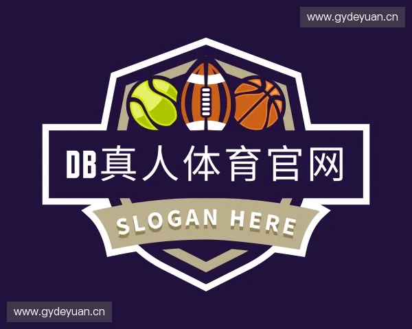 介绍db真人体育官网